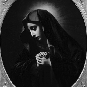 深夜影院一级毛片
